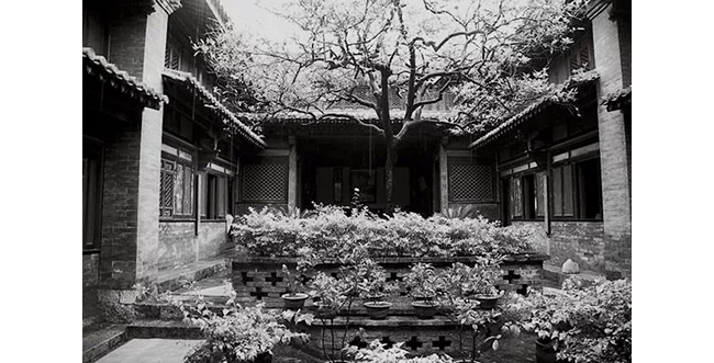 中國嘉德2019秋拍 |  茶中極品，珍如拱璧——百年藍(lán)標(biāo)·宋聘號